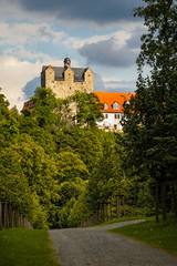 Fototapeta na wymiar Schloss Ballenstedt mit Schlosspark