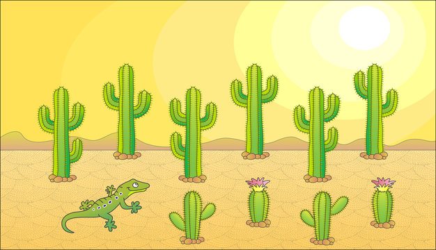 Vector cactus set