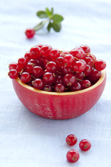 ripe cranberries