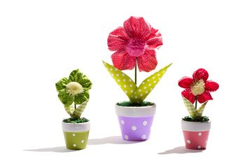 Ornamental potted flowers