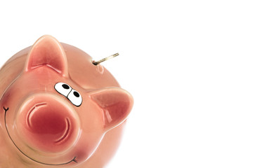 rosa Sparschwein mit M&uuml;nze