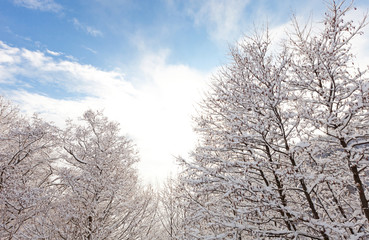 winter in south switzerland