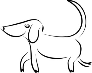 Fröhlicher Hund und treuer Begleiter