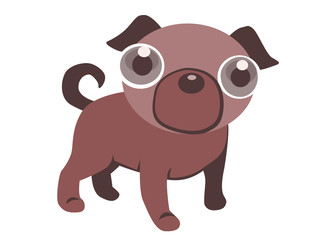 Hund vor weißem Hintergrund