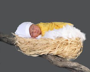 nascita © massimo maghenzani