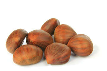 Maronen (Castanea sativa)