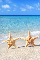 Fototapeta na wymiar holiday concept - two sea-stars walking on sand beach against wa