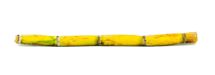 Fototapeta premium Sugar cane over white background