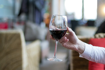 Man holding glass of wine in sunny bar interior