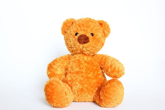 teddy