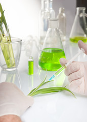 hand holding a plant