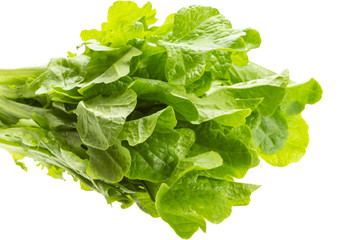 Salad leaves