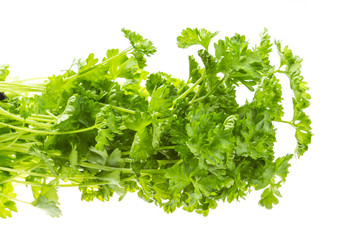 Ripe fresh Parsley