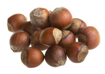 Dried hazelnuts