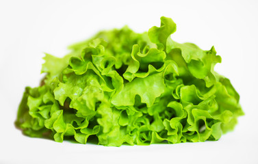 Lettuce isolated on white