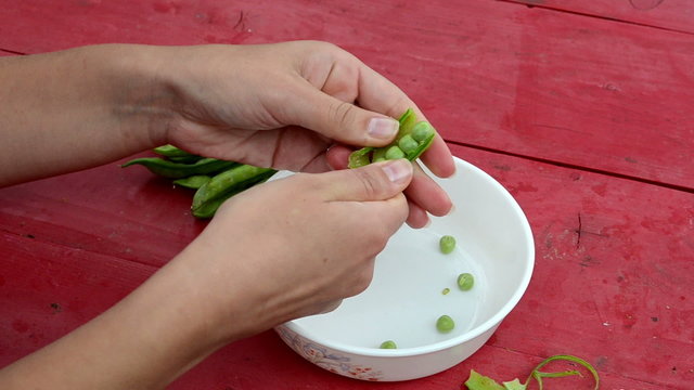 closeup woman hand depod green pease white dish red wooden table