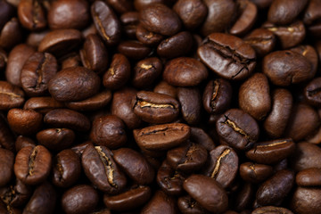 Roasted coffee grain