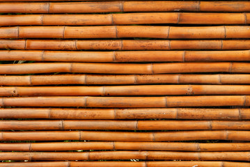 Bamboo background