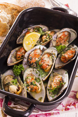 Müscheln überbacken mit Käse