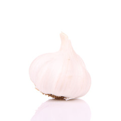 Garlic on a white background