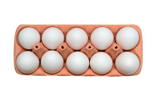 white chicken eggs in box