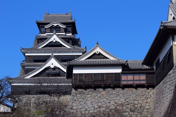 Fototapeta premium 熊本城天守閣