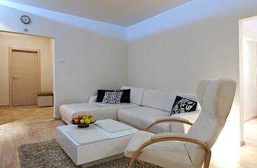 Modern home living room interior