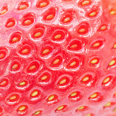 macro background of big red strawberry