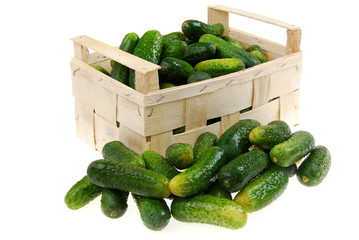 Gurkenkörbchen