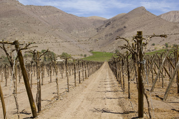 Chile - fertile valley in inhospitable mountains