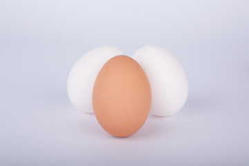 Drei Eier zwei weiß eins braun