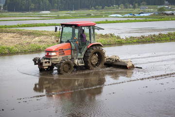 Tractor Prepares Rice Paddy