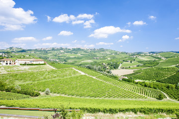 Fototapeta na wymiar vineyars near Grinzane Cavour, Piedmont, Italy