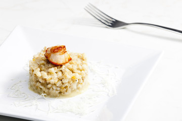 fried Saint Jacques mollusc with pearl barley risotto