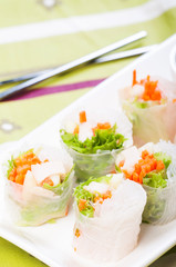 fresh spring rolls popular in vietnam