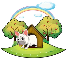 Foto op Plexiglas Een hond in het hondenhok met een appelboom aan de achterkant © GraphicsRF