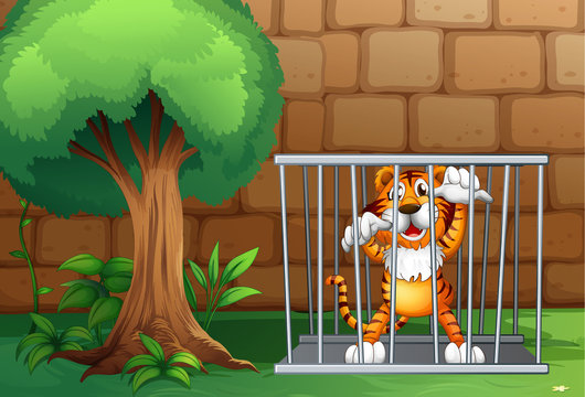 A tiger in a cage made of steel