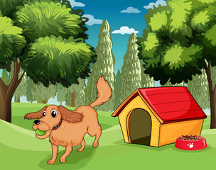 A dog playing outside a dog house