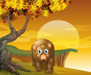  Een bruine beer naast een grote boom bij de klif © GraphicsRF
