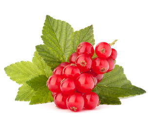 Red currants and green leaves still life