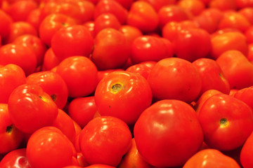 tomato