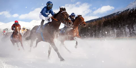 Photo sur Plexiglas Léquitation horse race