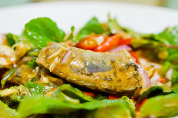 spicy canned fish salad