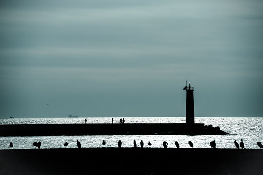 Denizfeneri