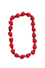 Photograph of beetles Number 0