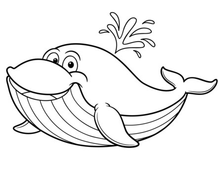 illustration of cartoon whale - Coloring book