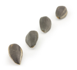 seed, sunflower