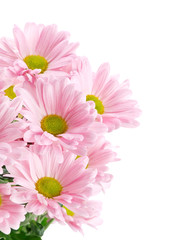 Beautiful bouquet of pink flowers