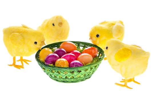 Vier K&uuml;cken am Ostereierkorb mit Eierschale.