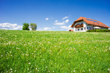 Family House in a Summer Landscape - 49918385